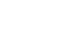 OneBrain